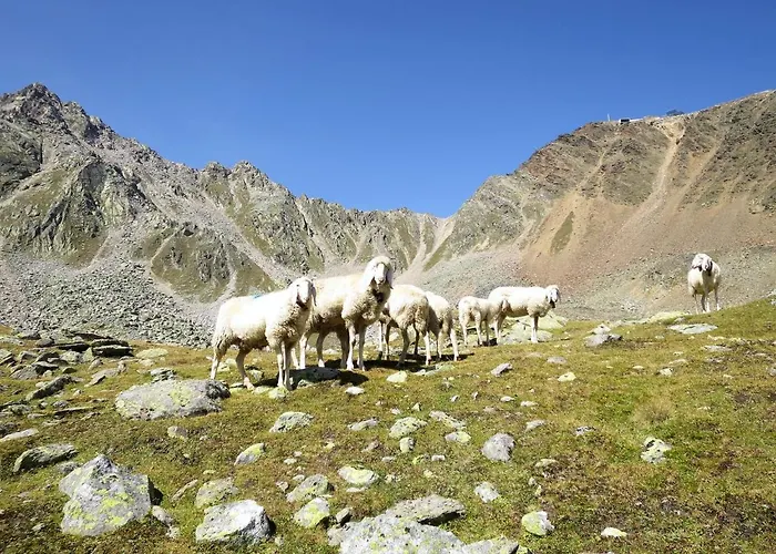 Mont Blanc By Interhome Апартаменти